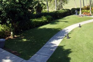 Long-Lasting Artificial Turf for Residential Use