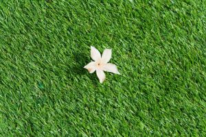 how to clean artificial turf